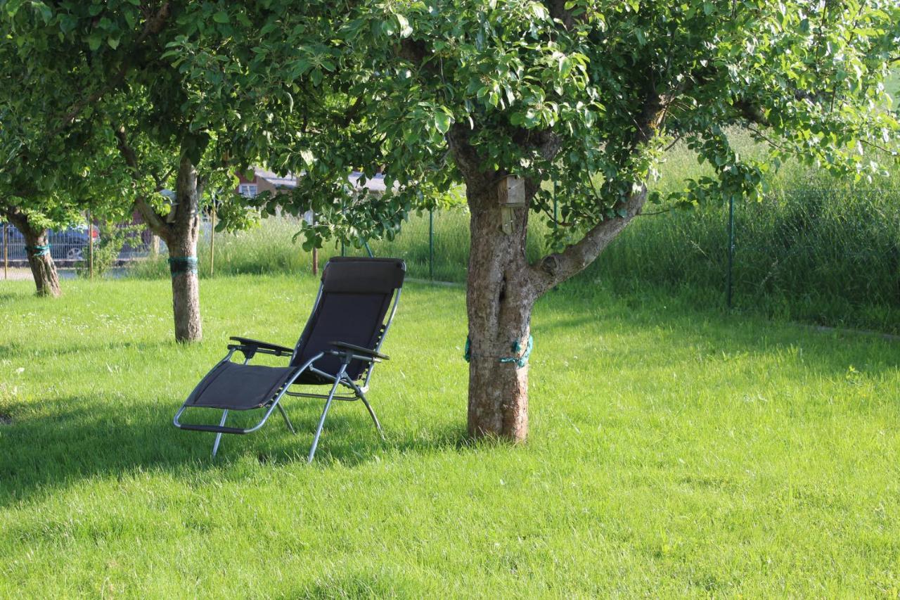 Ferienwohnung Am Kugelbaum Lunzenau Exterior foto