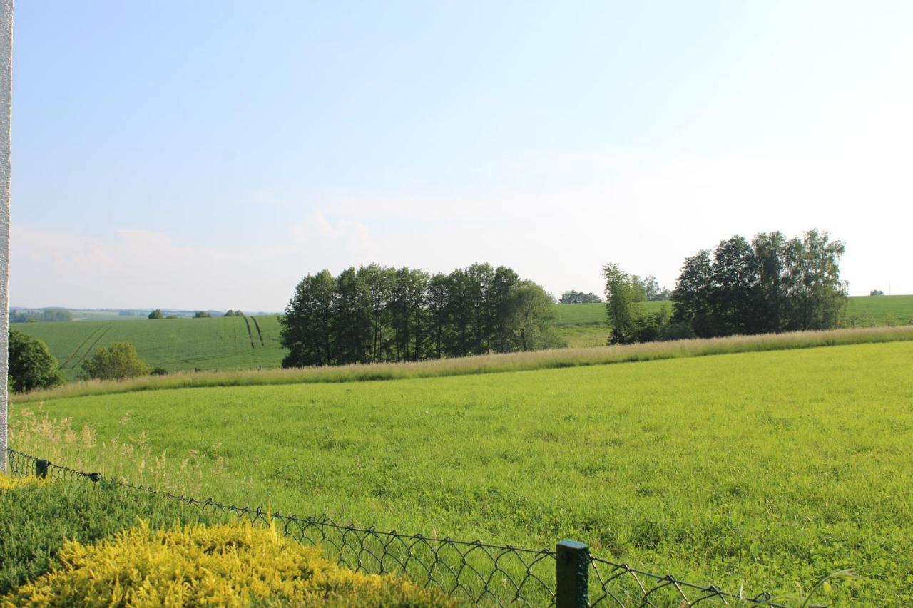 Ferienwohnung Am Kugelbaum Lunzenau Exterior foto